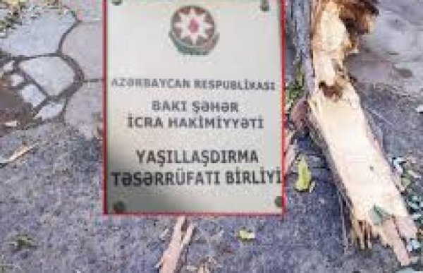 Bakı Yaşıllaşdırma Təsərrüfatı Birliyi: BİR KÜLƏKLİK CAN... - MALƏSƏF...