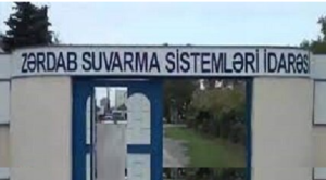 Meşəni kəsənlər də məlumdur, susanlar da: Bəs dövlət haradadır? - İLGİNC GƏLİŞMƏ...