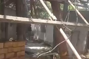 Binəqədi rayonunda növbəti qanunsuz tikintiyə hansı məmur icazə verib? -Fotofakt