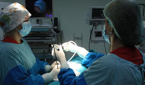 Dr.Ella necə estetik əməliyyatlar icra edir? -Araşdırma