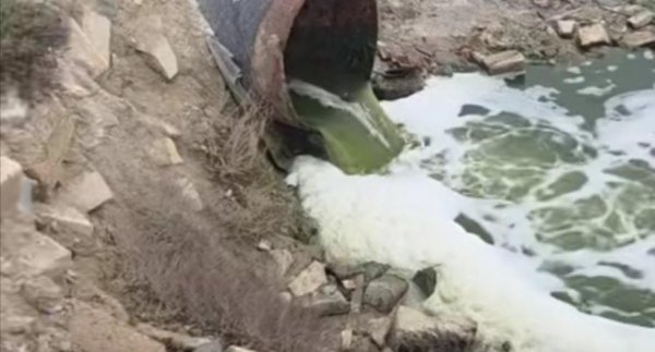 Masazır gölünə axıdılan çirkabla bağlı Dövlət Su Ehtiyatları Agentliyi 3 aydır nə araşdırır? -Video