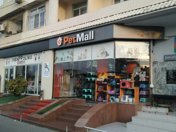“PetMall” baytarlıq klinikasından şikayət – “İtimi öldür**lər…”