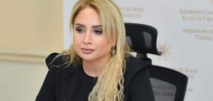 İlhamə Abdullayeva dövlət büdcəsindən ayrılan pulları……