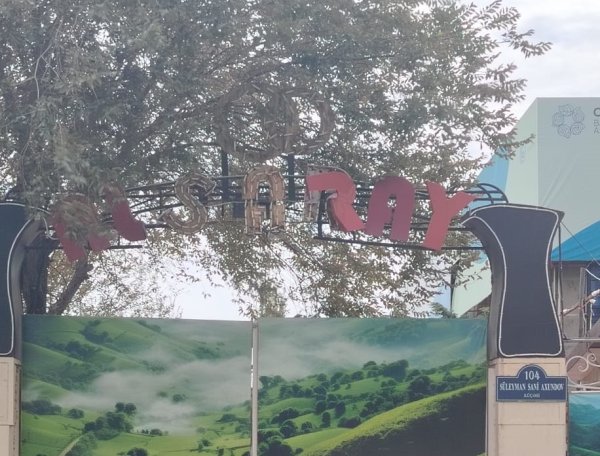 “AL SARAY” restoranın sahibi ağacları kəsdi, qanunsuz tikinti işləri aparır-Videofakt