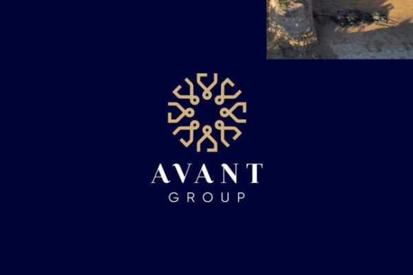 “Avant Group”un Yasamalda özbaşınalığı davam edir: Toz-torpaq, səs-küy, ağac terroru… – Video