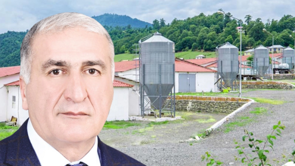 İqbal Məmmədovun "Lerik Broyler"i fəaliyyətini dayandırdı - Səbəb nədir?
