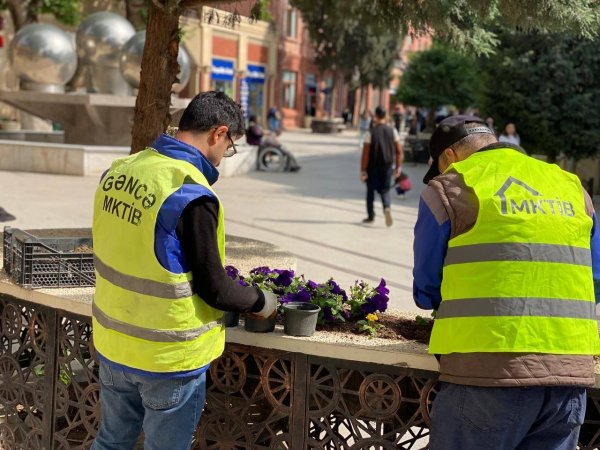 Gəncədə Mənzil-Kommunal Təsərrüfatı İstehsalat Birliyinin bir qrup əməkdaşı məcburi işdən çıxarılır?