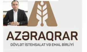 Məcnun Məmmədovun "toxunulmaz" kadrları: "Azəraqrar"ı kimlər və necə iflic edib?