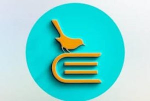 Müqaviləsiz iş, “card to card” ödəniş – EDUNSTAZ nəyi gizlədir?