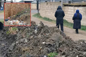 Azərbaycanda yeni "xidmət": "Qurbağalar dalaşanda ayırırıq" - VİDEO