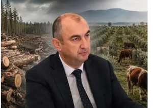 Dövlətin yaşıl siyasətini “qara biznes”ə çevirənlər… - Ekologiyanın “boz kardinal”ı Vüqar Kərimova ağır ittihamlar