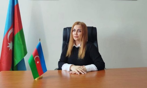 Gülnar Nəsrullayevanın rəhbəri olduğu 315 saylı məktəbdə 8 sinif şagirdinə qarşı….