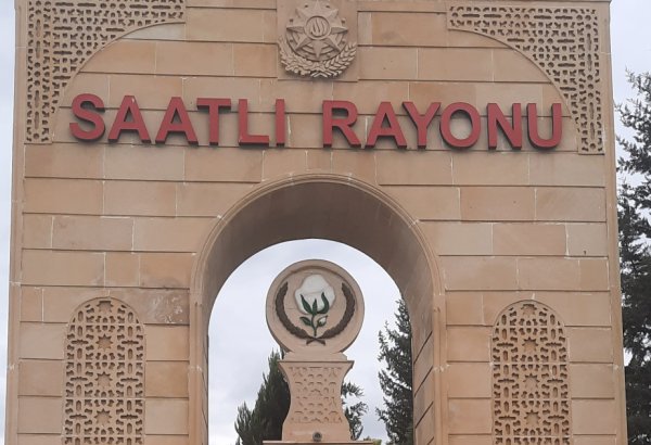 Saatlı İcra Hakimiyyəti və DAİM hara baxır? - Fermerin bir illik zəhməti məhv olur